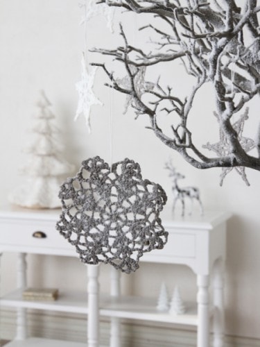 ShishiΡե졼ʥȥ졼15cm