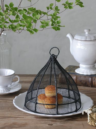 Fiorira un GiardinoաɥС ֥åS