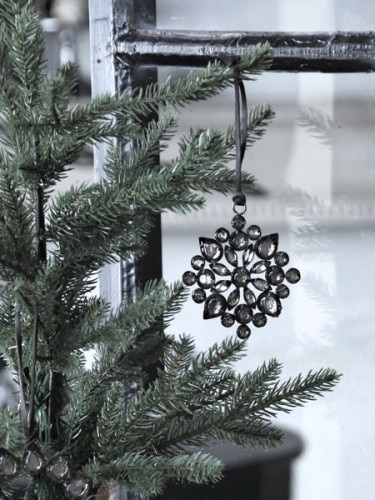 ShishiΡե졼奨륹⡼7.5cm