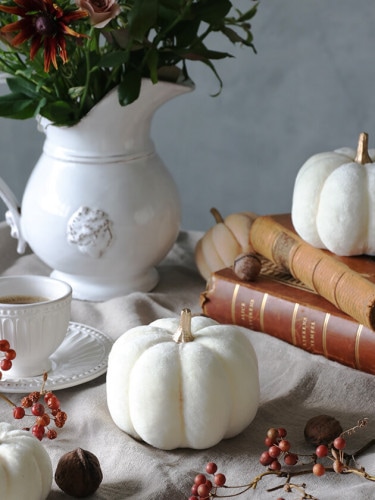 �ե��֥�å��ѥ�ץ��� ���꡼��11cm