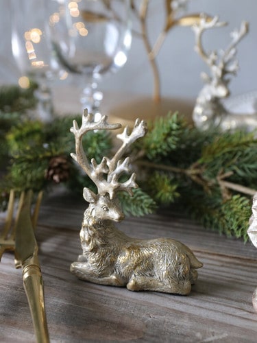 Lene Bjerre�ȥʥ���sitting�饤�ȥ������