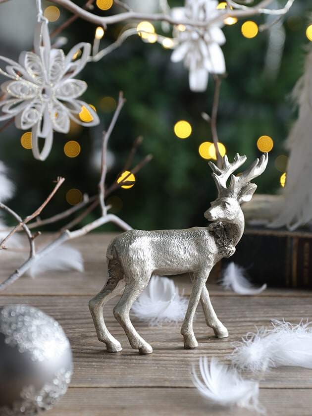 トナカイCシャンパンゴールド サラグレース