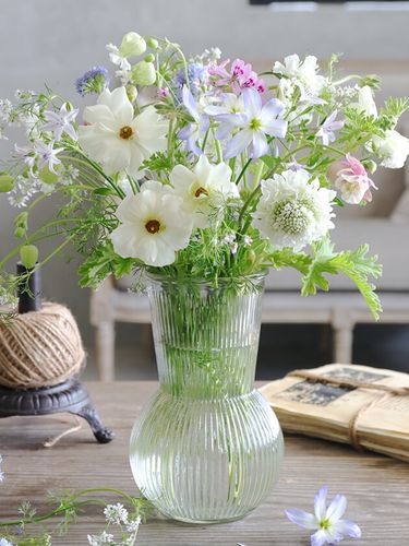軟質 フランス 白磁 花瓶 軟質 フランス 白磁 花瓶