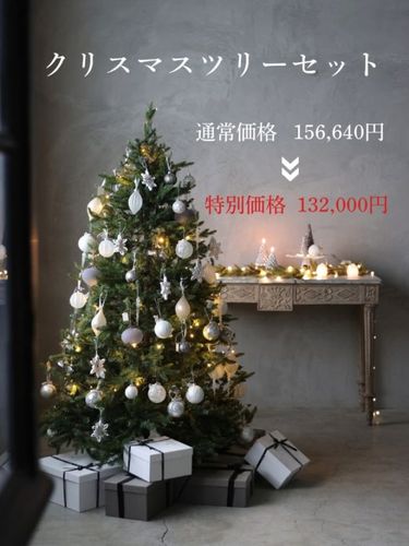 クリスマスツリー｜青山表参道の人気インテリアショップ