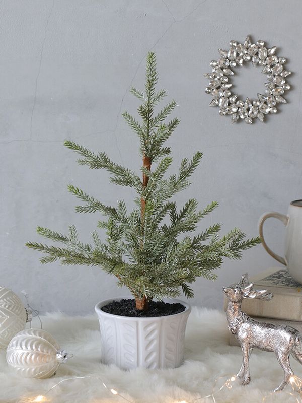 ���ꥹ�ޥ��ĥ꡼Blanche36cm