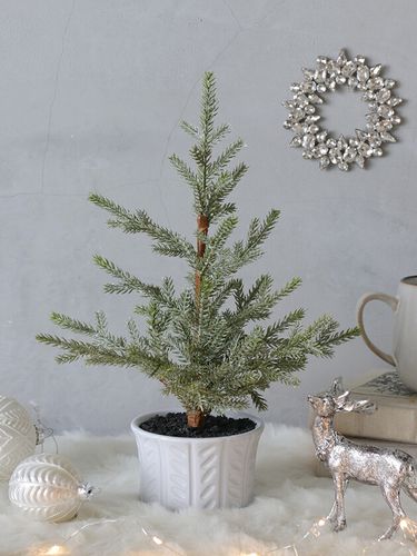 ꥹޥĥ꡼Blanche36cm