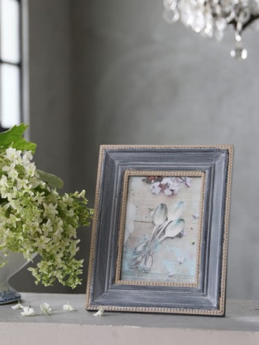 SGD�ե��ȥե졼�ॹ�����������륰�졼��Ź����