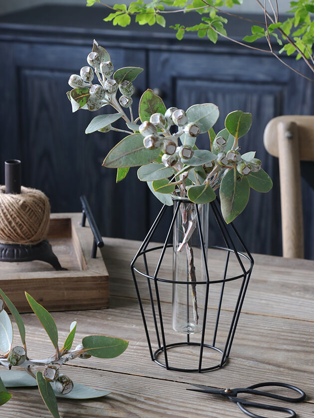 Sache���饹�١���jungle gym