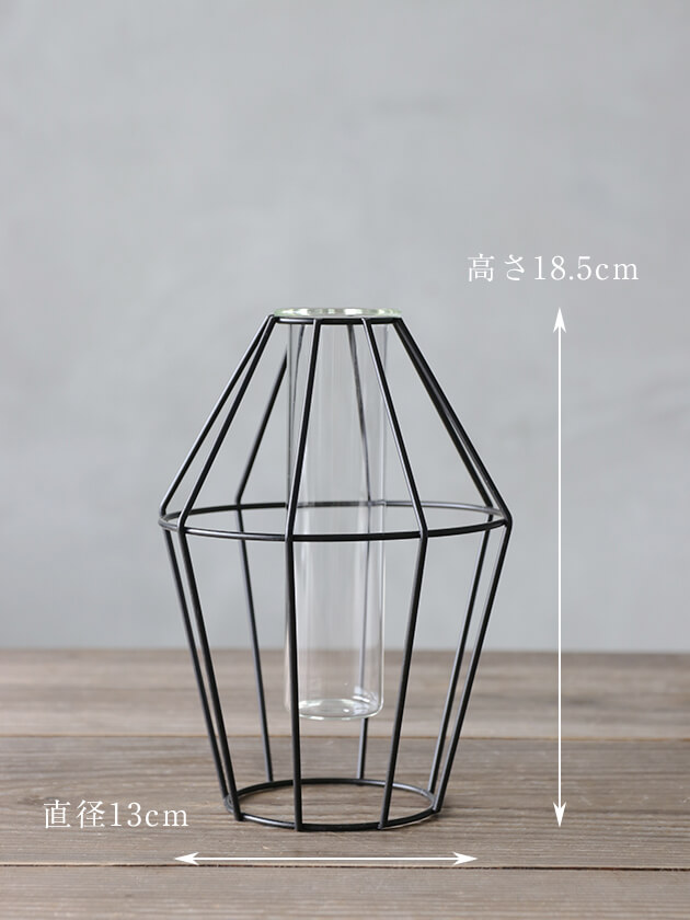 Sache���饹�١���jungle gym