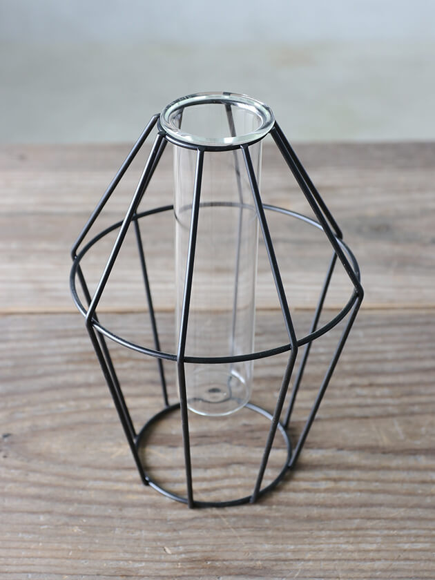 Sache���饹�١���jungle gym