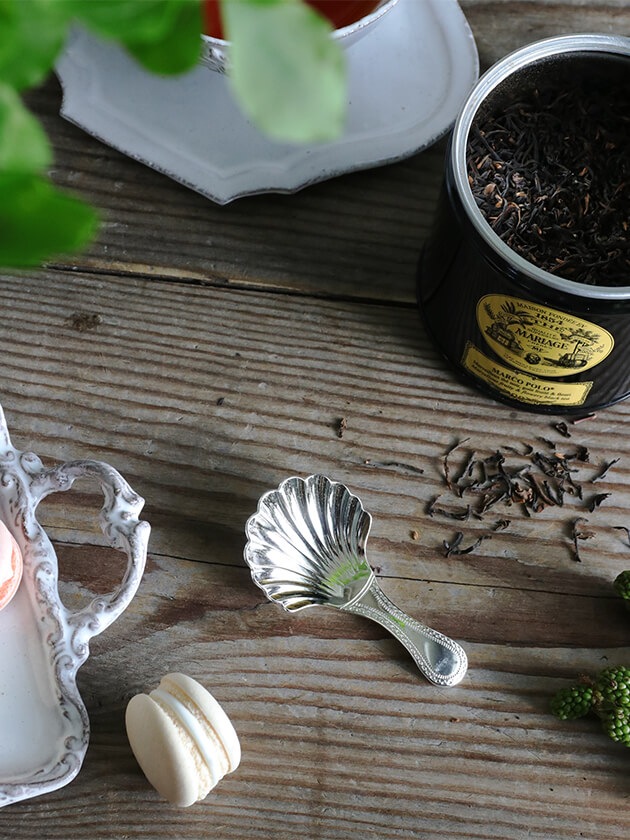 ティーキャディスプーンSHELL