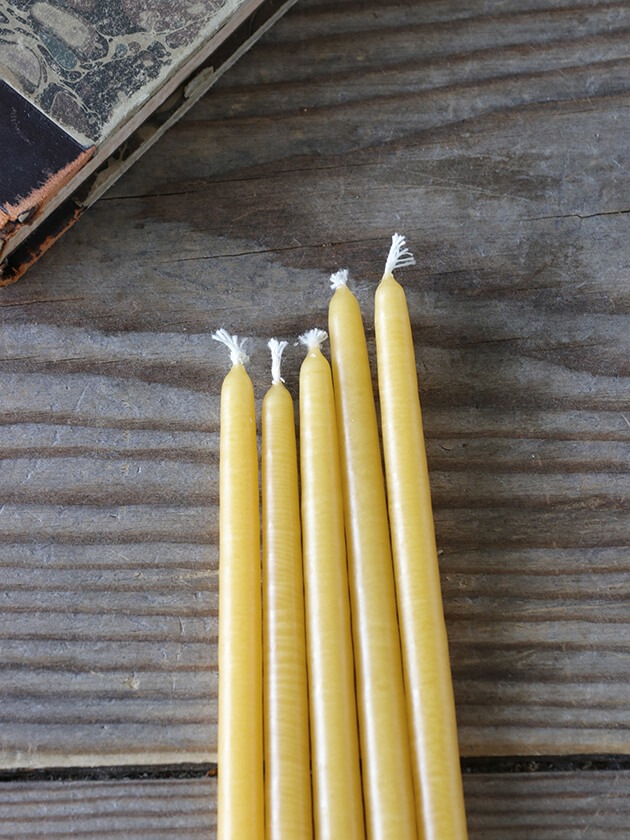 CIERGERIE�ơ��ѡ������ɥ�FLORIST�ϥˡ�5�ܥ��å�