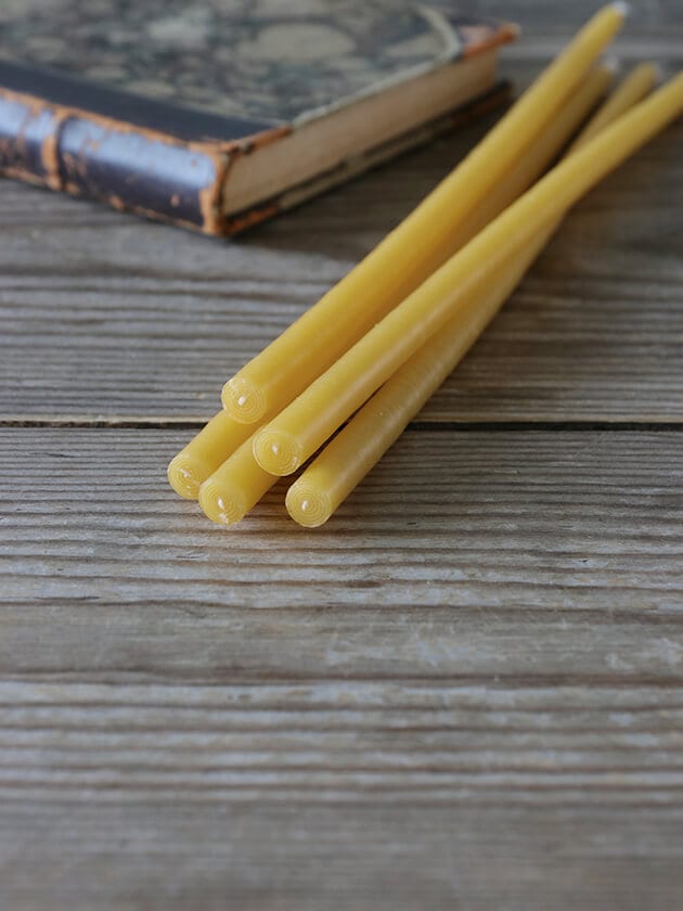 CIERGERIE�ơ��ѡ������ɥ�FLORIST�ϥˡ�5�ܥ��å�