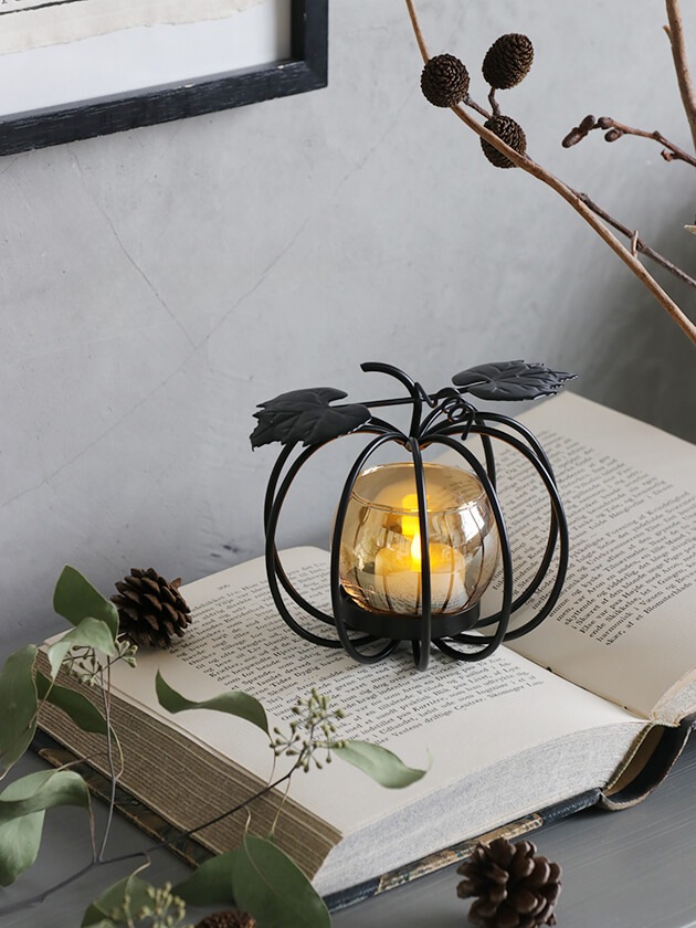 Sache �����ɥ�ۥ���� �ѥ�ץ���֥�å�