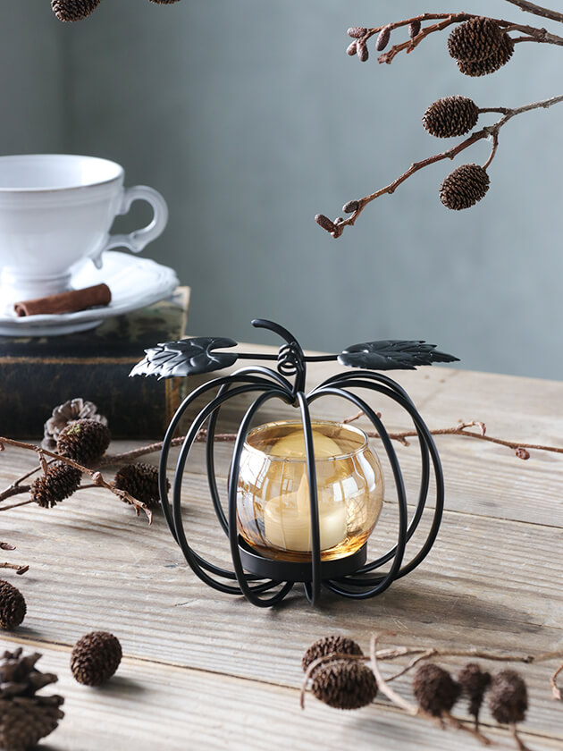 Sache �����ɥ�ۥ���� �ѥ�ץ���֥�å�