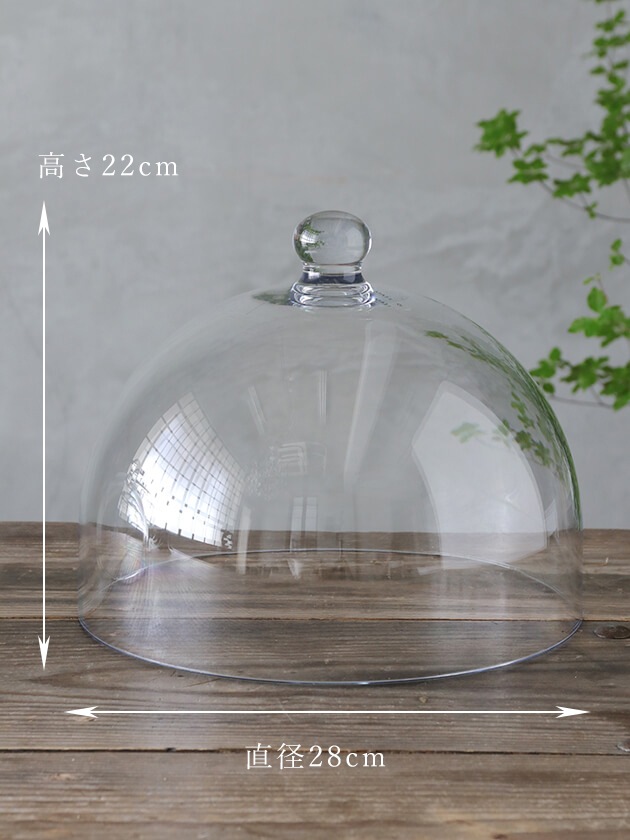 �������ɡ���R28cm���ꥢ