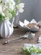 Pewter�ȥ󥰥���������