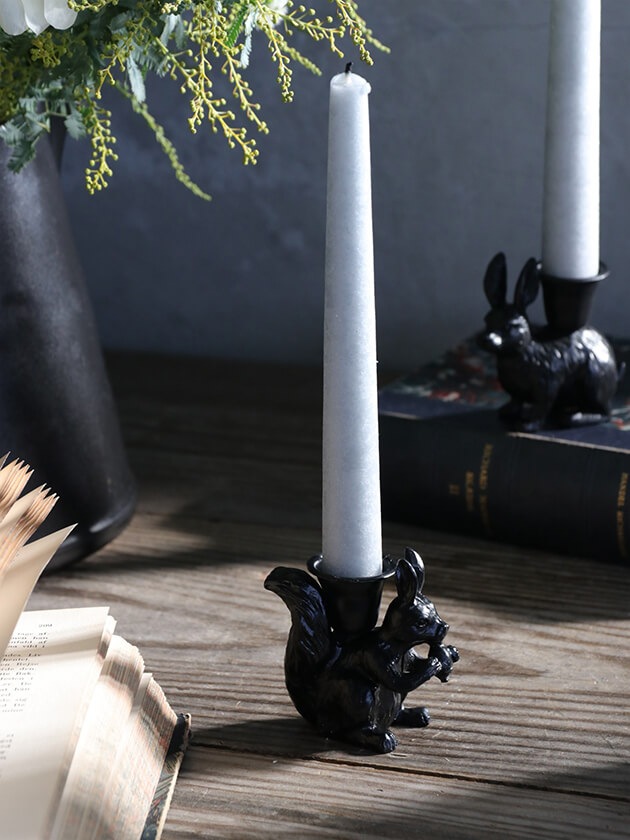 Nordal�����ɥ�ۥ����SQUIRREL�֥�å�