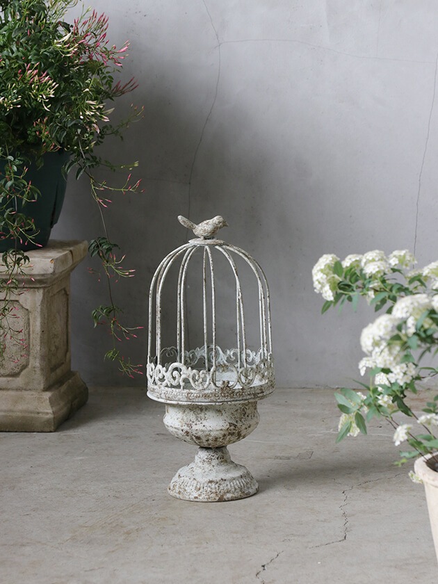 Chante�����ǥ�磻�䡼�С��ɥ������������Small