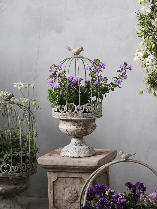 Chante�����ǥ�磻�䡼�С��ɥ������������Small