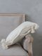 CONDOR��ͥ󥯥å������������å���30x50cm(�����դ�)