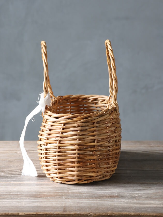 �饿����󥰥Х����å�Anika