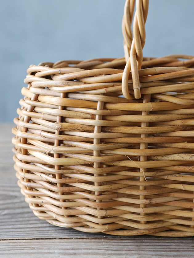 �饿����󥰥Х����å�Anika