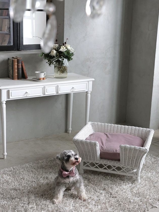 �饿��ڥåȥ٥åɥۥ磻���ѥ��å����&���С�