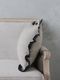 CONDOR��ͥ�ե�륯�å���󥫥С����å��֥�å�45x45cm