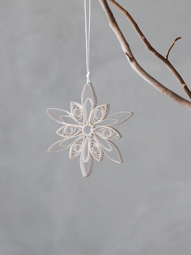 2_000000026016.jpg?1728637774