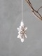 �ڡ��ѡ������ʥ���Snowflake C
