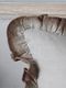 CONDOR��ͥ�ե�륯�å���󥫥С����å��֥饦��45x45cm