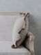 CONDOR��ͥ�ե�륯�å���󥫥С����å��֥饦��45x45cm