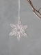 ڡѡʥSnowflake D