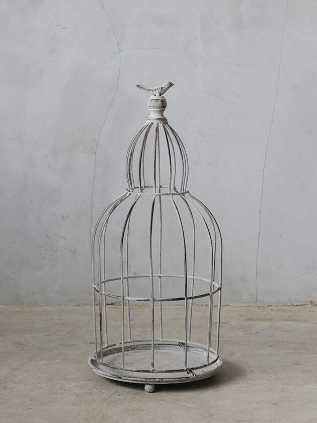 バードケージBird