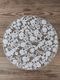 Fiorira un Giardino�ӥˡ���ץ졼���ޥå�FLOWERS�ۥ磻��38cm