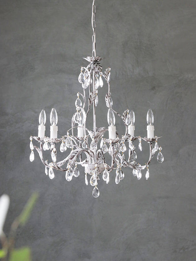 ��2026ǯ4������ͽ���IL Paralume�����ǥꥢLeaf6�����졼