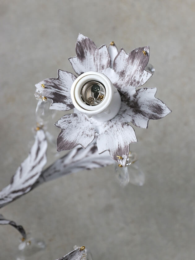 ��2026ǯ4������ͽ���IL Paralume�����ǥꥢLeaf6�����졼