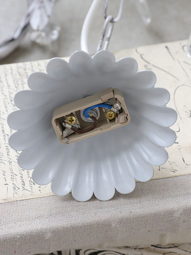 ��2026ǯ4������ͽ���IL Paralume�����ǥꥢLeaf6�����졼