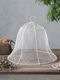 Fiorira un Giardino�ա��ɥ��С�BELL�ۥ磻�� ���Х�
