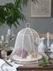 Fiorira un Giardino�ա��ɥ��С�BELL�ۥ磻�� ���Х�