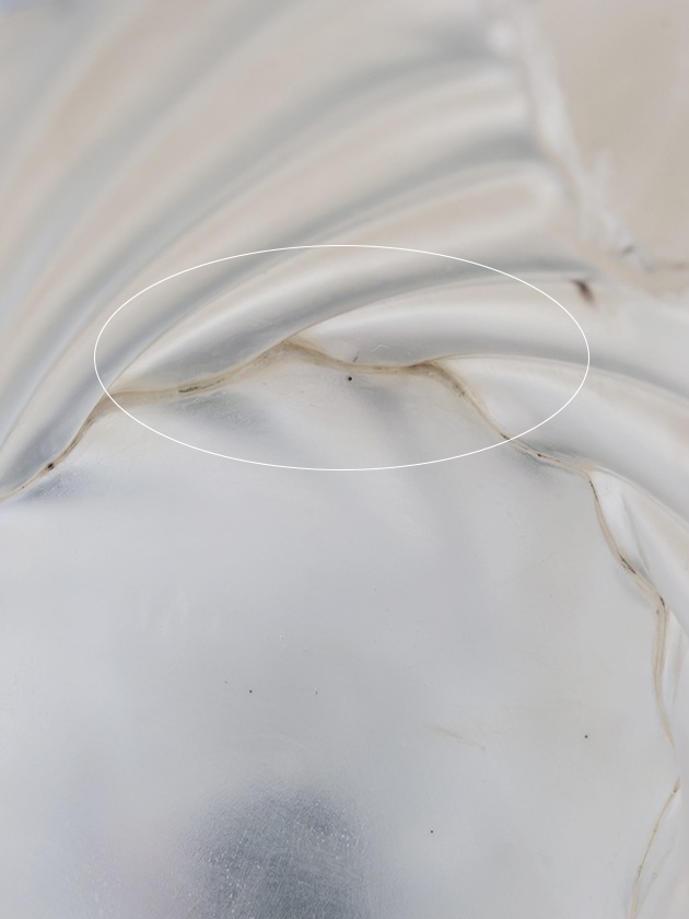 Royal Family����С��ԥå��㡼Torchon
