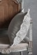 CONDOR��ͥ󥯥å���󥫥С����ޥ���45x45cm No.2