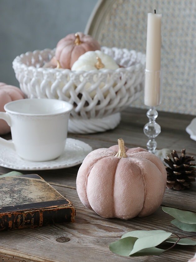 �ե��֥�å��ѥ�ץ��� �ԥ󥯥��졼����11cm