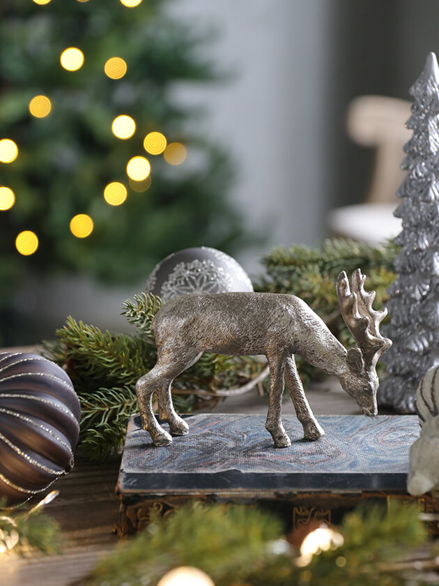 2_000000026023.jpg?1728637550