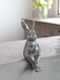 Lene Bjerre�ҤȤ䤹�ߤ��뤦��������С�H16.5cm