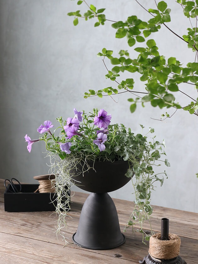 Mitt&Ditt Levi�ץ�󥿡�Round Cup L