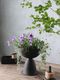 Mitt&Ditt Levi�ץ�󥿡�Round Cup L