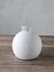 Rader LED饤ȥܡGifts