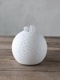 Rader LED饤ȥܡGifts